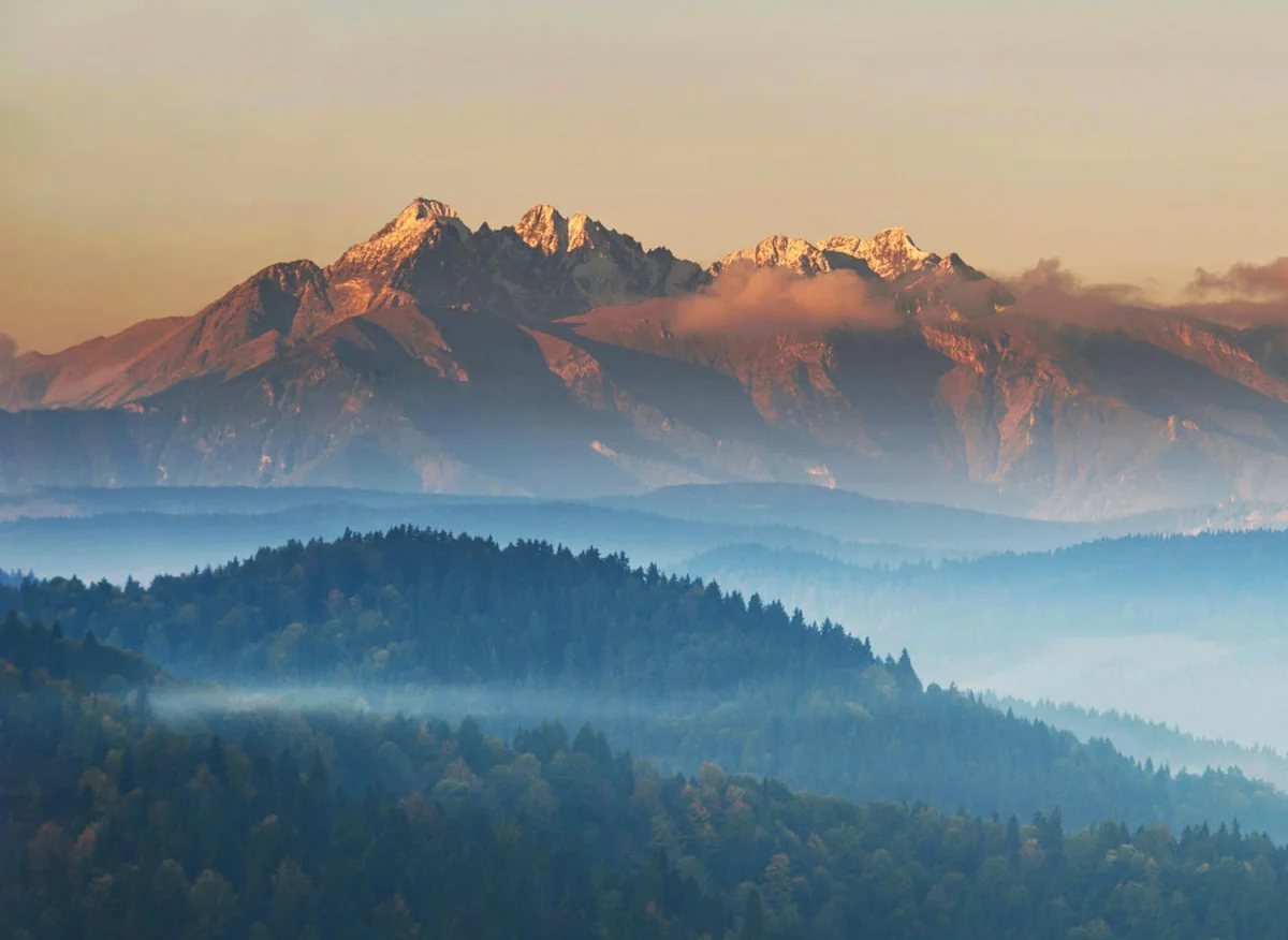 Dlaczego w 2022 warto  leczyć zęby w Zabrzu?