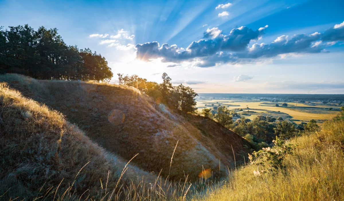 Zobacz te informacje jak obsłużyć bhp