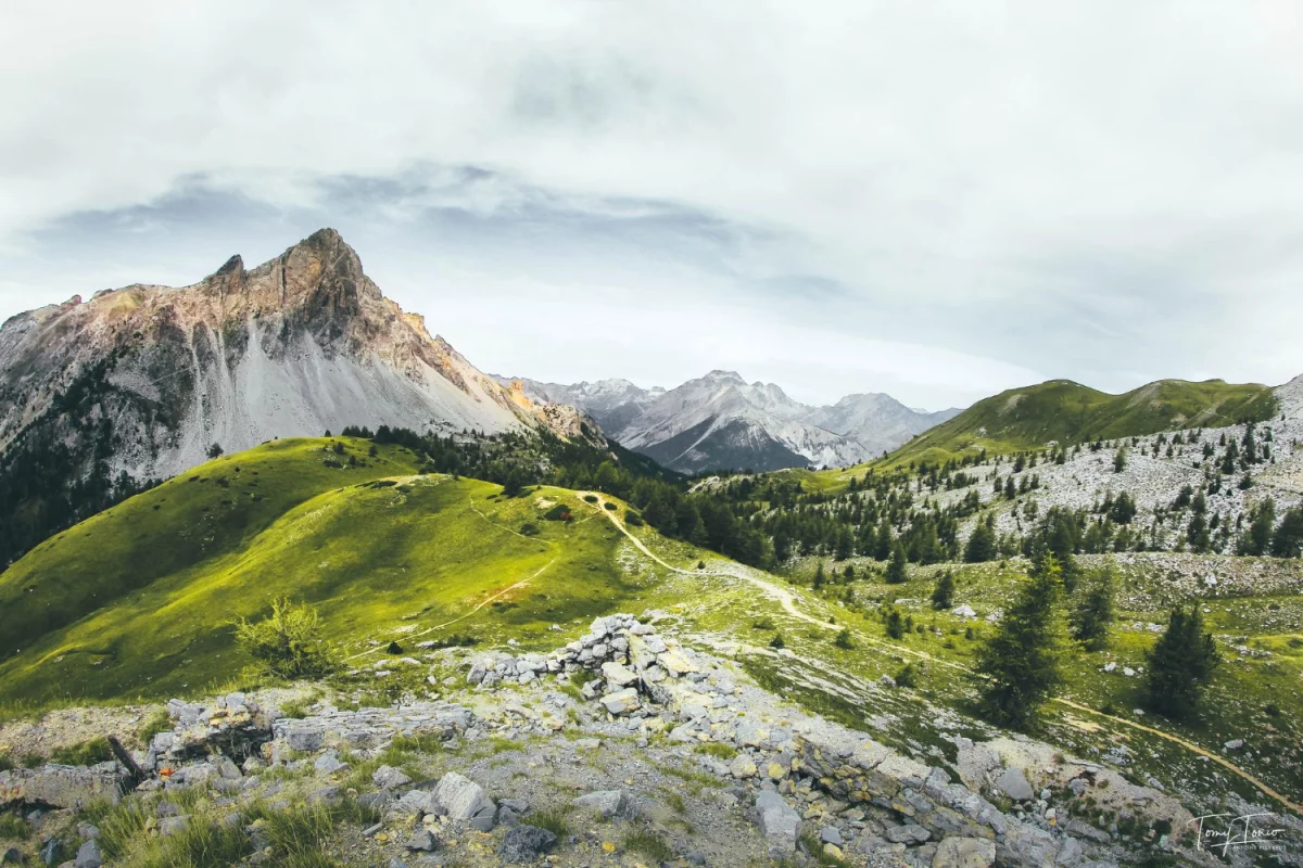 Przeczytaj ten wpis a dowiesz się jak wypożyczyć meble