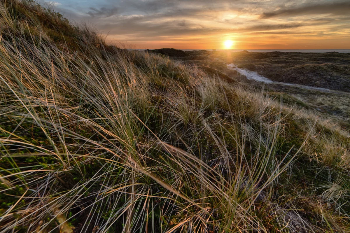 Rok 2023 - dobry czas by kupić para cord