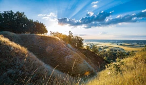 Nie Musisz Być Ekspertem Aby kupić programy. Wystarczy, że Zastosujesz Te 5 Zasad.