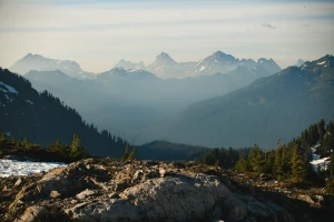  Only first-hand information about how to choose a chauffeur 